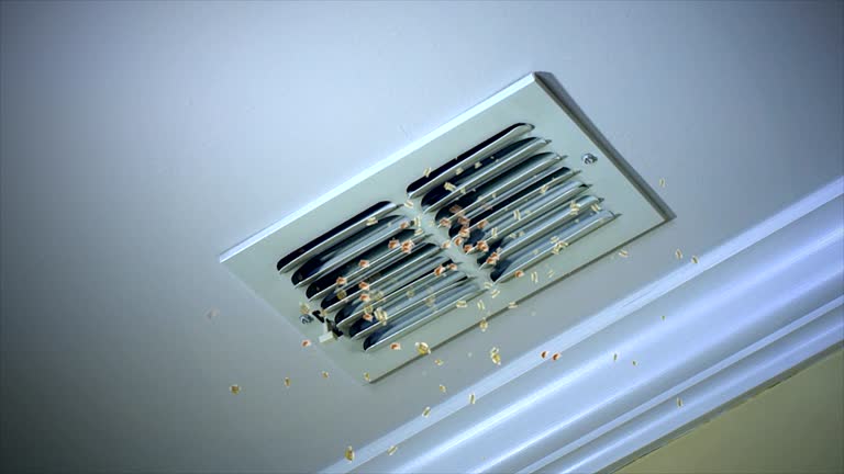 Best Ventilation Cleaning Services  in Mantua, UT