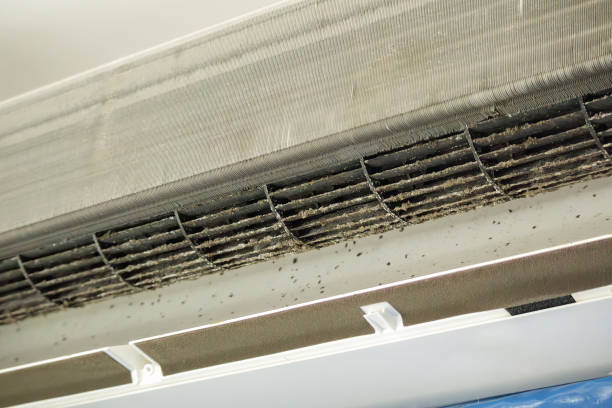 Best Affordable Air Duct Cleaning  in Mantua, UT